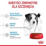 ROYAL CANIN Mini Puppy SHN - dry dog food - 2 kg