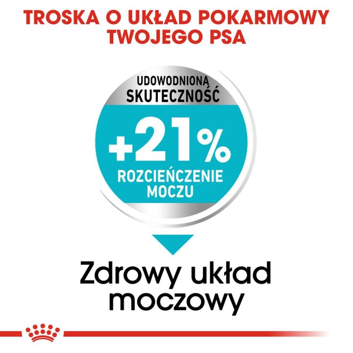 ROYAL CANIN Mini Urinary Care - dry dog food - 3 kg