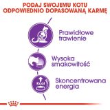 ROYAL CANIN Sensible - dry cat food - 2 kg