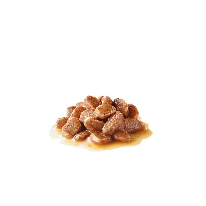 ROYAL CANIN Urinary Care in Gravy 12x85g