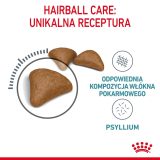 Royal Canin Hairball Care dry cat food 2 kg