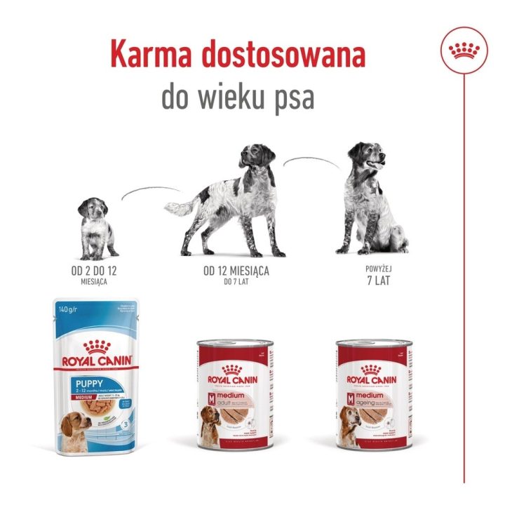 ROYAL CANIN Medium Loaf - wet dog food - 410g