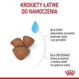 Royal Canin Mini Starter Mother & Babydog Adult Poultry 1 kg