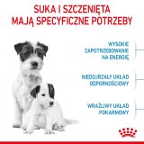 Royal Canin Mini Starter Mother & Babydog Adult Poultry 1 kg