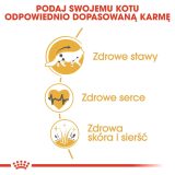 Royal Canin FBN Maine Coon Adult - dry food for adult cats - 4kg