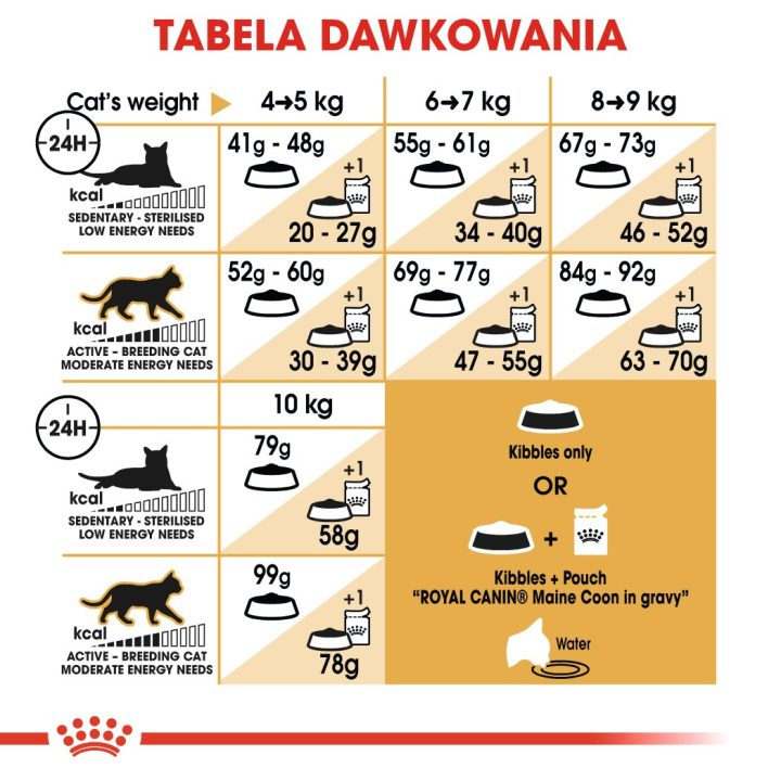 Royal Canin FBN Maine Coon Adult - dry food for adult cats - 4kg