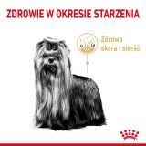 ROYAL CANIN Yorkshire Terrier 8+ Dry dog food Poultry 1 5 kg