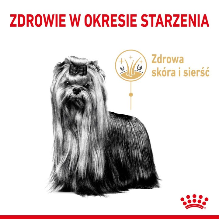 ROYAL CANIN Yorkshire Terrier 8+ Dry dog food Poultry 1 5 kg