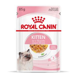 Royal Canin FHN Kitten Instinctive in jelly - wet food for kittens - 12x85g