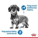 Royal Canin CCN MINI LIGHT WEIGHT CARE - dry food for adult dogs - 3kg