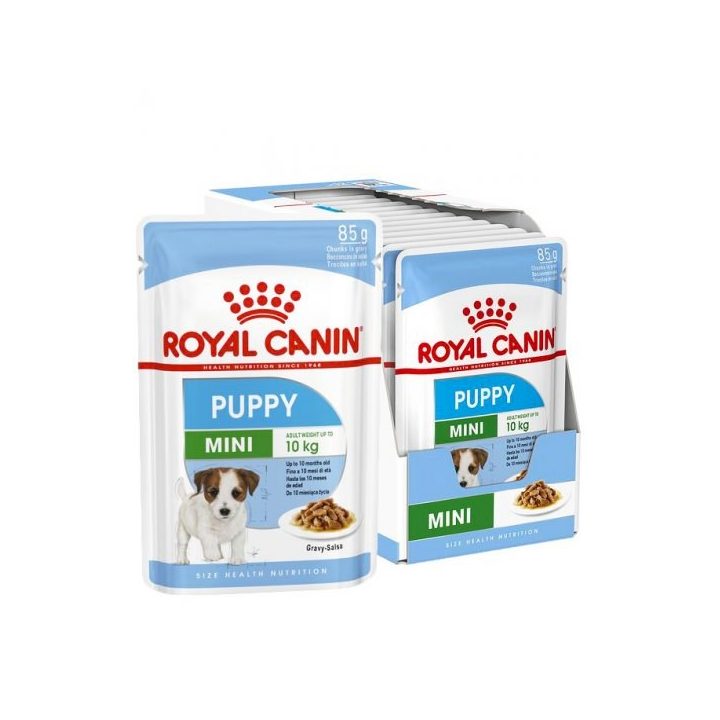 ROYAL CANIN SHN Mini Puppy in sauce - wet puppy food - 12X85g