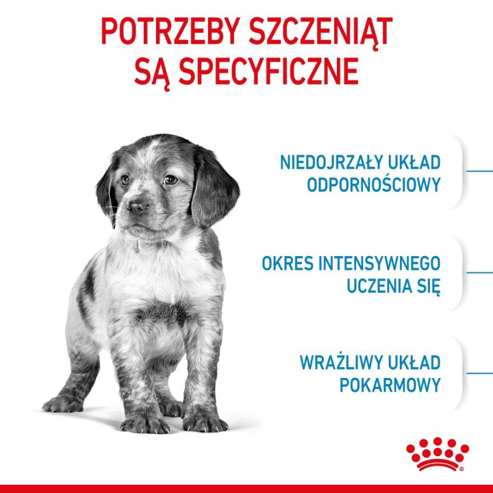 Royal Canin Medium Puppy 4 kg Maize Poultry