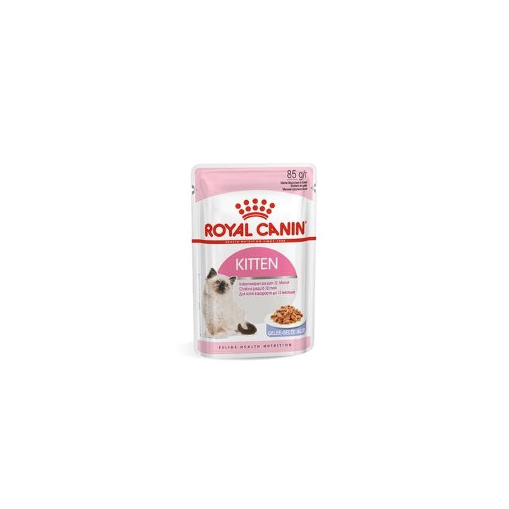 Royal Canin FHN Kitten Instinctive in sauce - wet food for kittens - 12x85g
