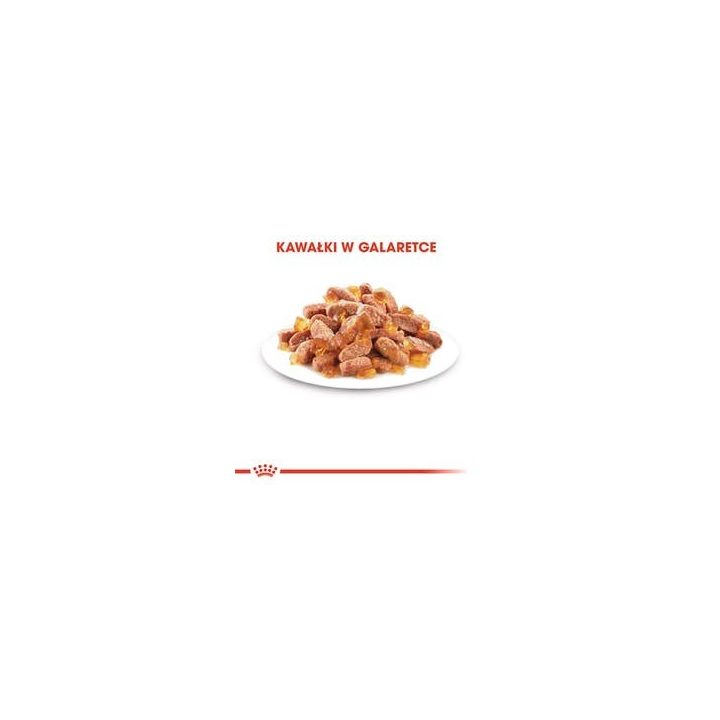 Royal Canin FHN Kitten Instinctive in sauce - wet food for kittens - 12x85g