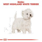 Royal Canin BHN West Highland White Terrier Adult - dry food for adult dogs - 3kg
