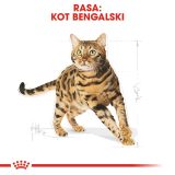 Royal Canin Bengal Adult cats dry food 2 kg Poultry Vegetable