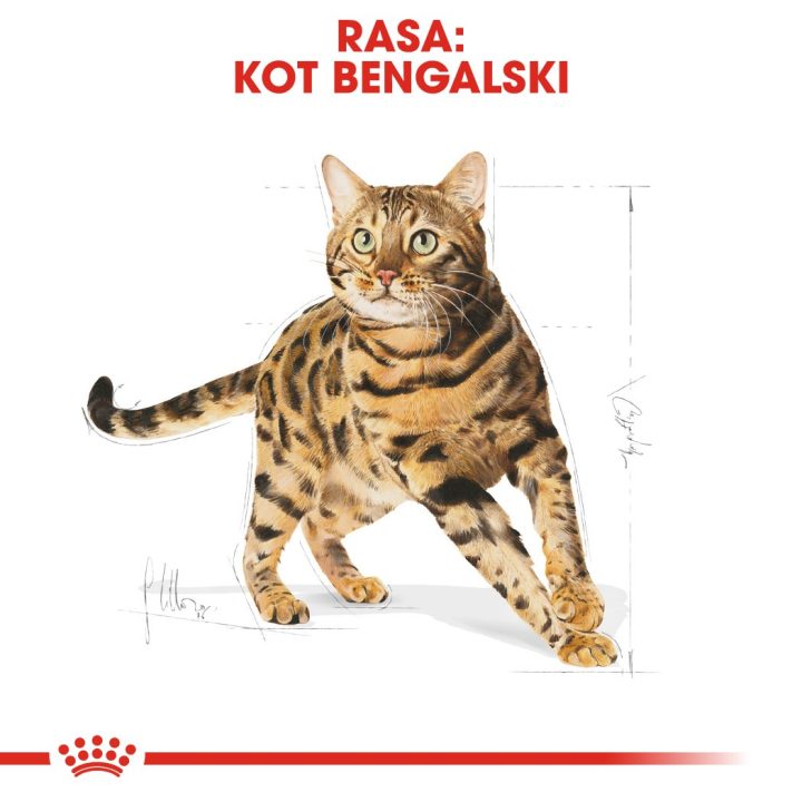 Royal Canin Bengal Adult cats dry food 2 kg Poultry Vegetable
