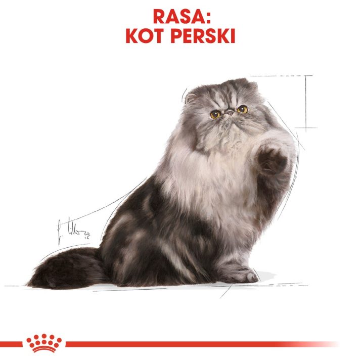 Royal Canin Persian cats dry food 4 kg Adult Maize Poultry