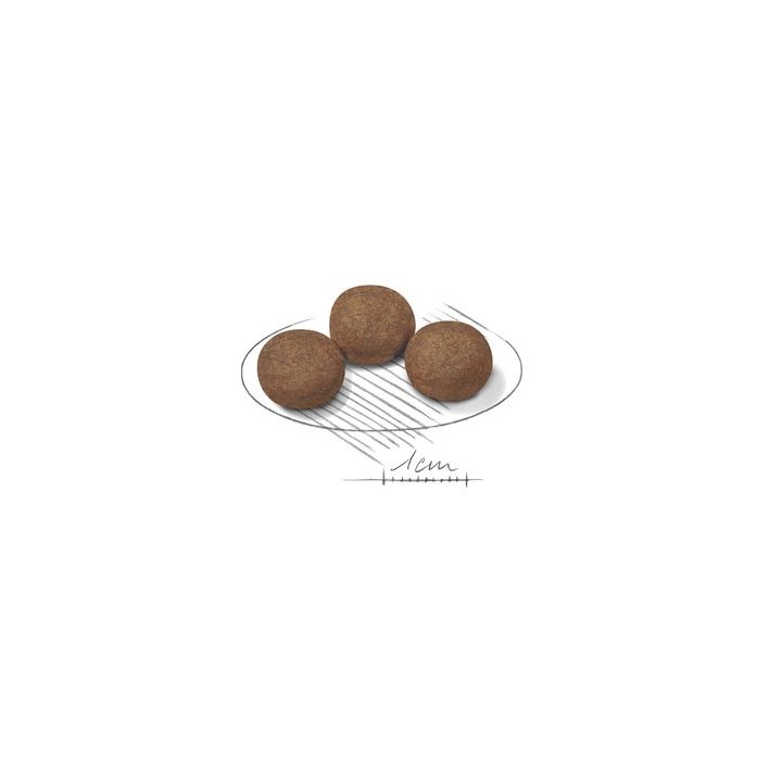 Royal Canin Medium Puppy 15 kg Vegetable