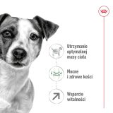 Royal Canin Mini Adult 8+ 8 kg Senior Poultry Rice Vegetable