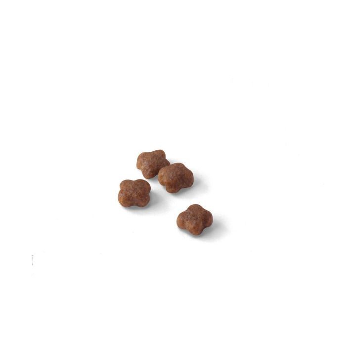 Royal Canin Mother & Babycat cats dry food 2 kg