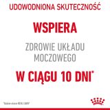 Royal Canin Urinary Care dry cat food 10 kg