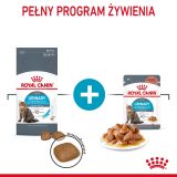 Royal Canin Urinary Care dry cat food 10 kg