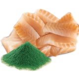 SHELMA with cod in sauce - wet cat food - 85g