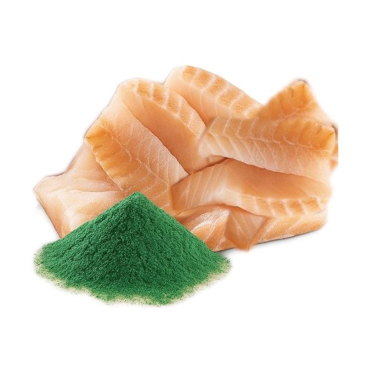 SHELMA with cod in sauce - wet cat food - 85g