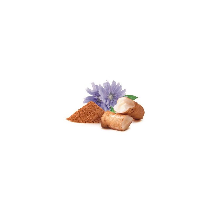 SHELMA Rich in beef in sauce - wet cat food - 85g