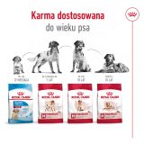 ROYAL CANIN Adult Medium - dry dog food - 4kg