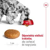 ROYAL CANIN Adult Medium - dry dog food - 4kg