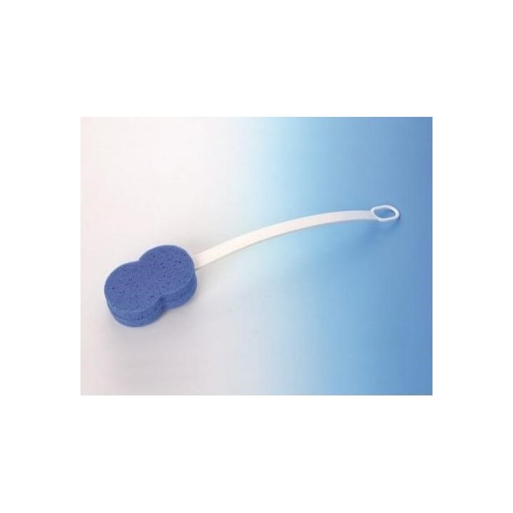 Sponge on the handle