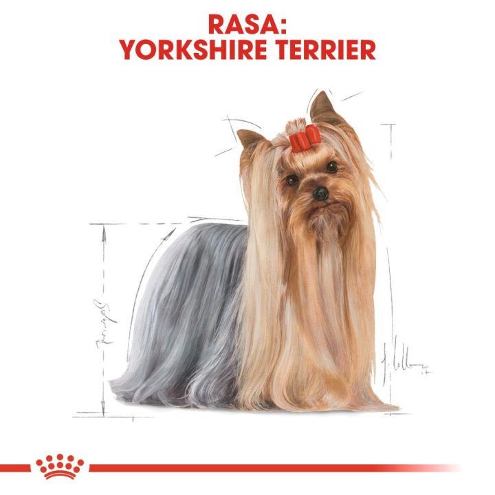 ROYAL CANIN BHN Yorkshire Terrier Adult dry dog food - 7.5 kg