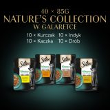 SHEBA Nature's Collection Poultry Flavors in jelly - wet cat food - 40 x 85g