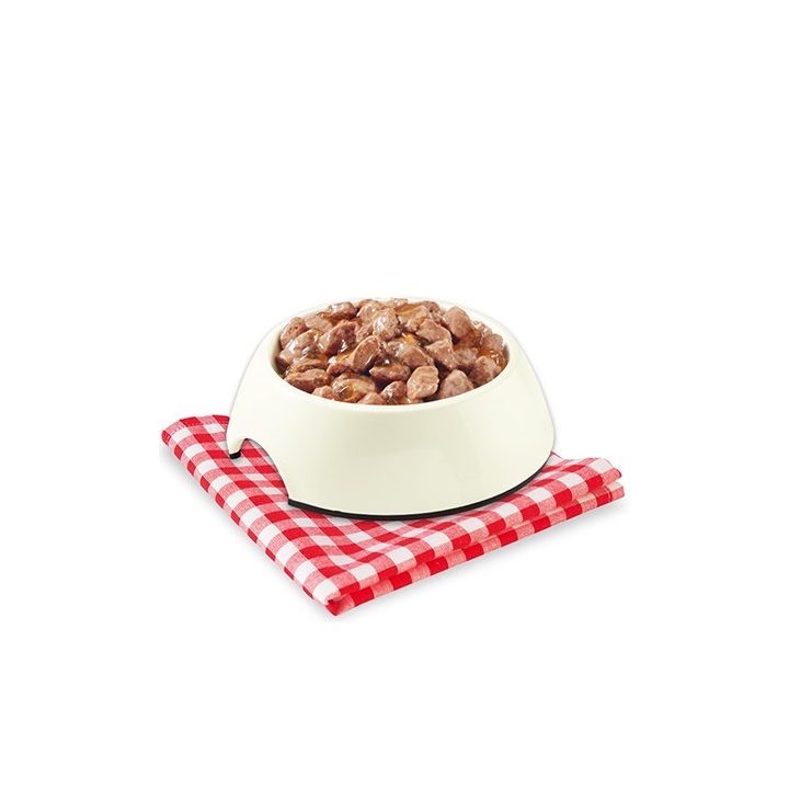 STUZZY Sea fish in jelly - wet dog food - 100g