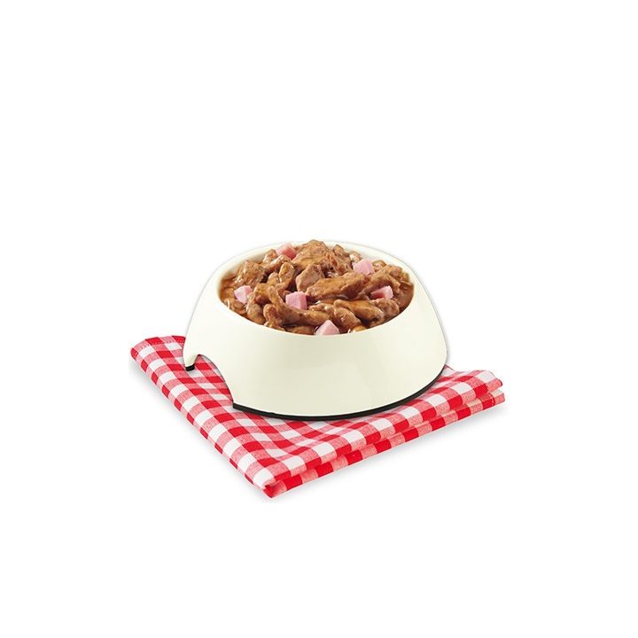STUZZY Sfilaccetti Chicken with ham - wet dog food - 100g