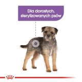 ROYAL CANIN Mini Sterilised - dry food for adult dogs small breeds after sterilisation - 1kg