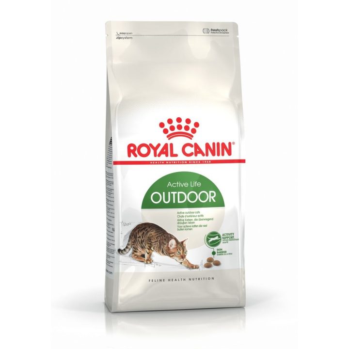 Royal Canin Active Life Outdoor cats dry food 4 kg Adult Poultry