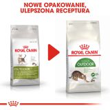 Royal Canin Active Life Outdoor cats dry food 4 kg Adult Poultry