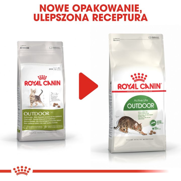 Royal Canin Active Life Outdoor cats dry food 4 kg Adult Poultry