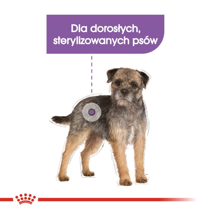Royal Canin CCN MINI STERILISED - dry food for adult dogs - 8kg