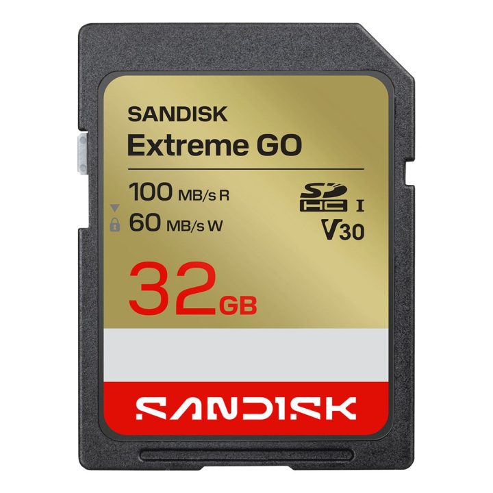 SanDisk Extreme GO 32 GB SDHC UHS-I