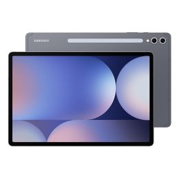 Samsung S10+ 5G 256 GB 31.5 cm (12.4 ) 12 GB Android 14 Grey