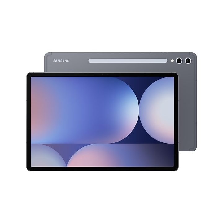 Samsung S10+ 5G 256 GB 31.5 cm (12.4 ) 12 GB Android 14 Grey
