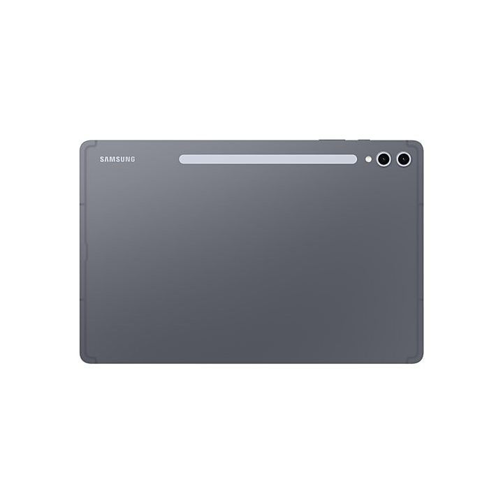 Samsung S10+ 5G 256 GB 31.5 cm (12.4 ) 12 GB Android 14 Grey