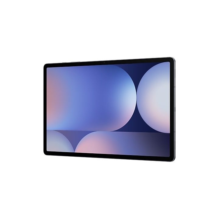 Samsung S10+ 5G 256 GB 31.5 cm (12.4 ) 12 GB Android 14 Grey