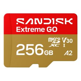 SanDisk Extreme GO 256 GB MicroSDXC UHS-I