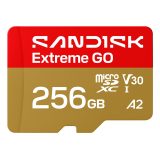 SanDisk Extreme GO 256 GB MicroSDXC UHS-I