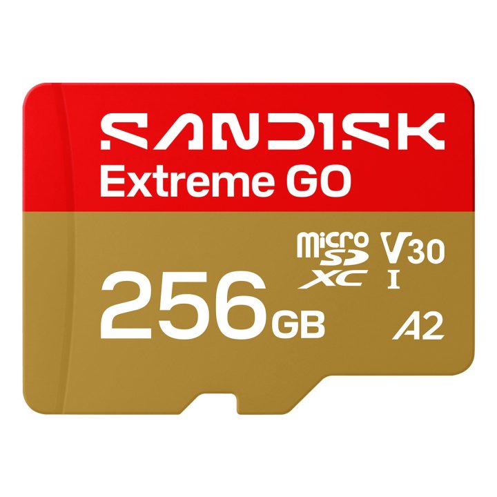 SanDisk Extreme GO 256 GB MicroSDXC UHS-I